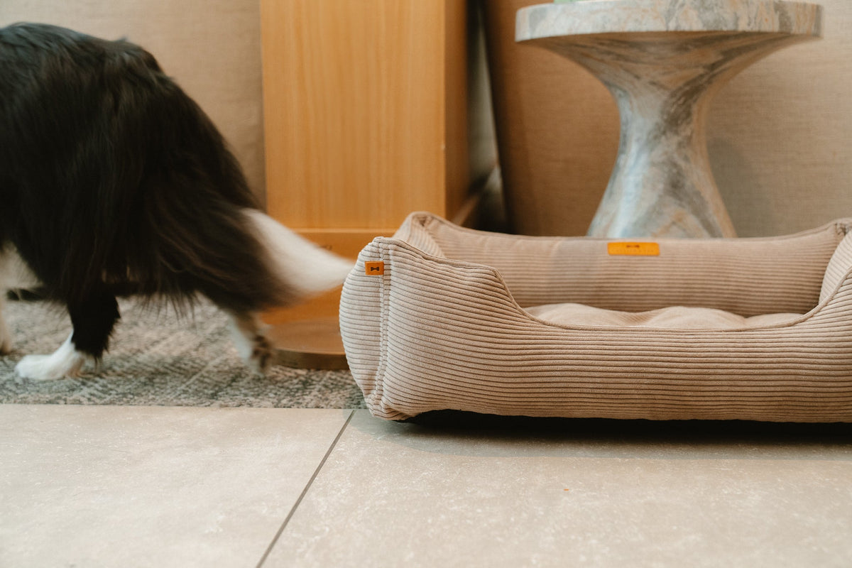 Taupe corduroy sleeper dog bed