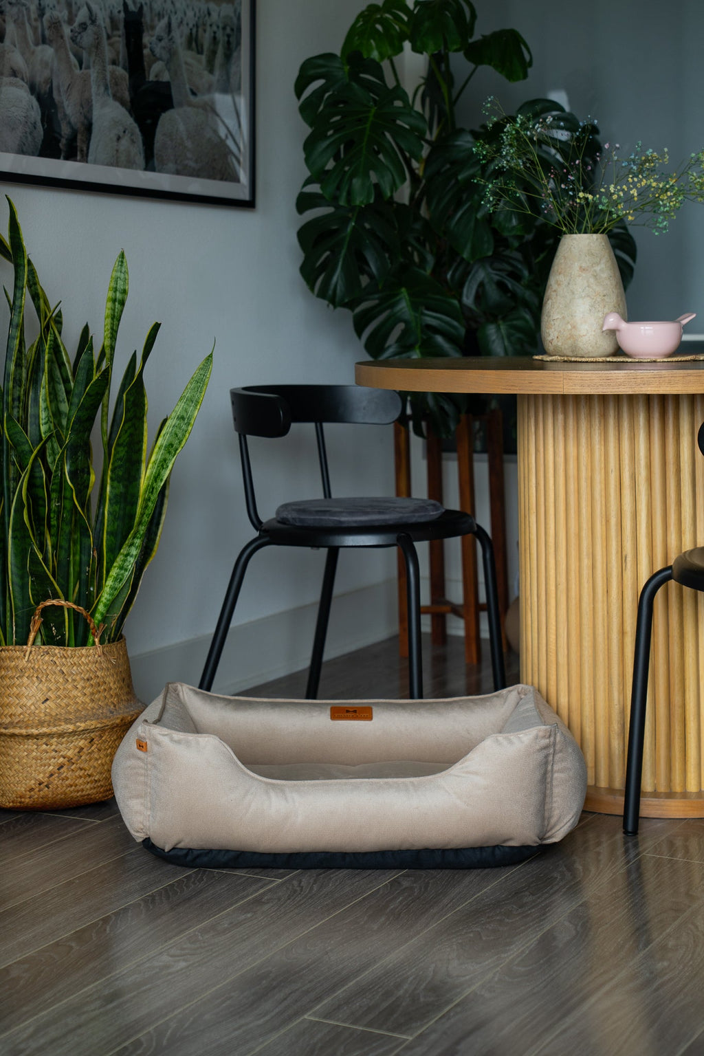 Classic velvet sleeper dog bed in beige