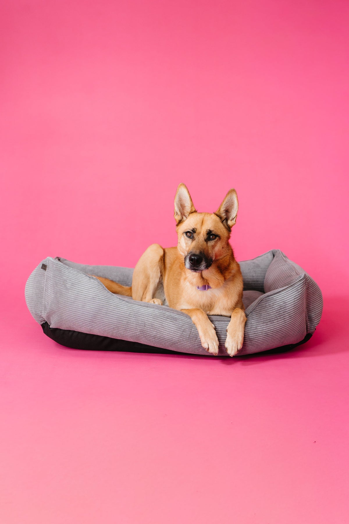 Fancy corduroy sleeper dog bed in gray