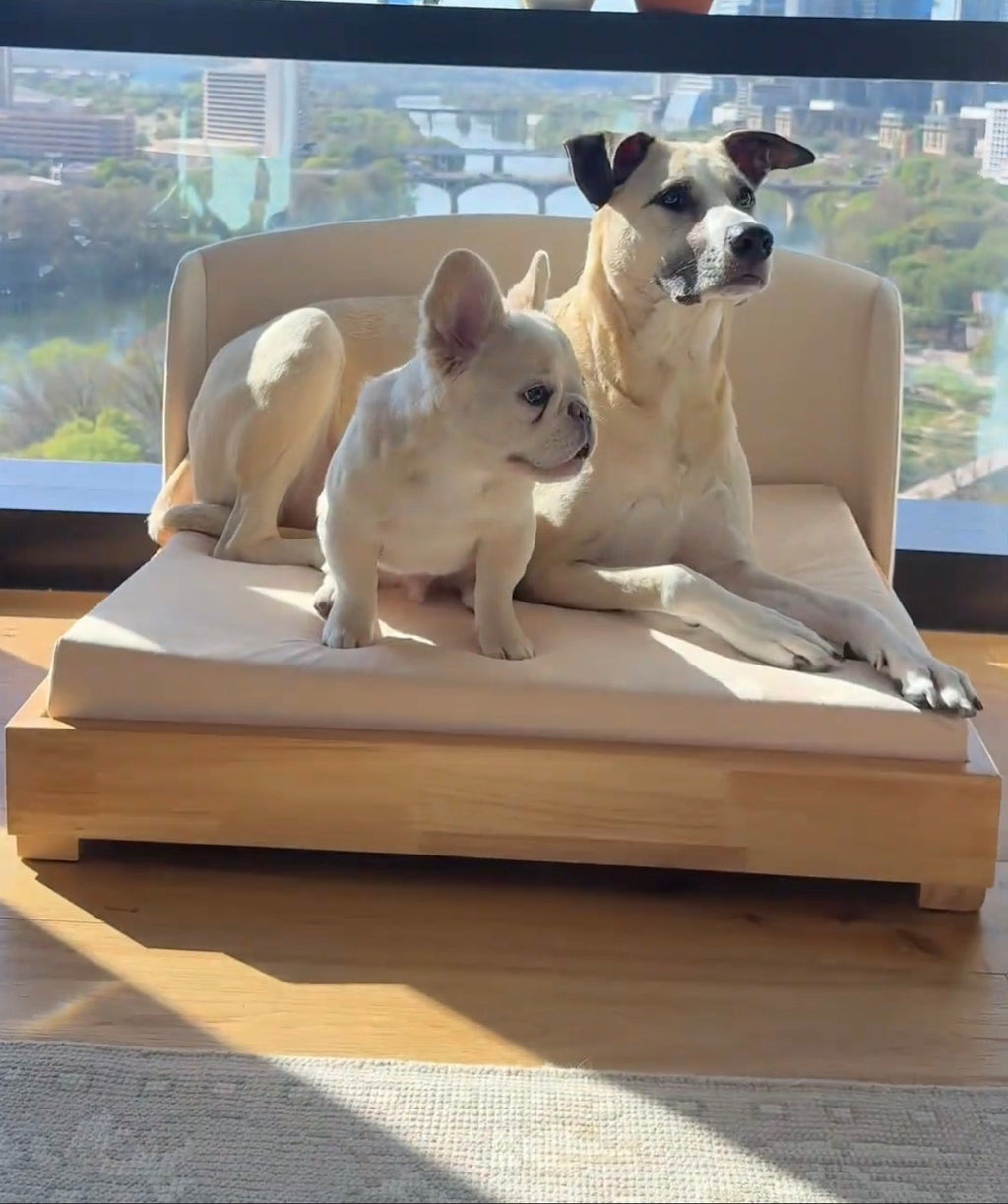 Luxury dog bed with solid hardwood frame and orthopedic memory foam