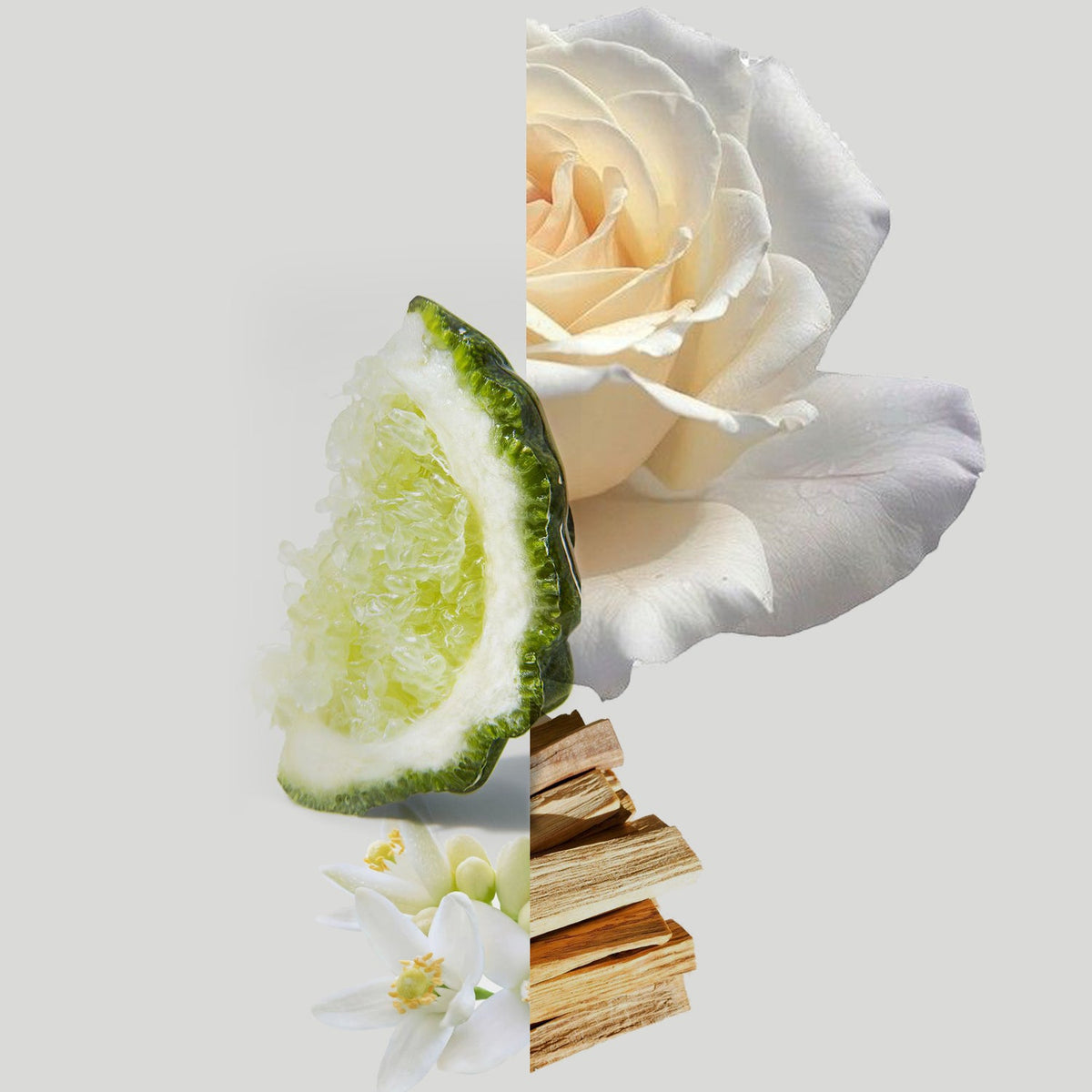Bliss Eau de Parfum – Bergamot, Jasmine & Sandalwood